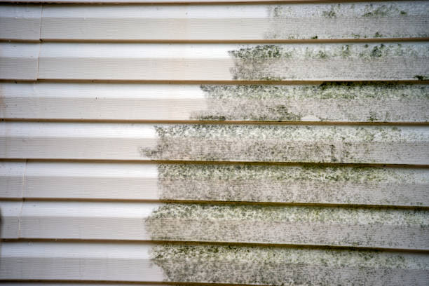 Best Demolition Debris Removal  in Junction City, OR